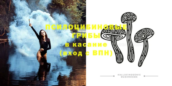 не бодяженный Магадан