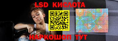 мяу мяу мука Гусев