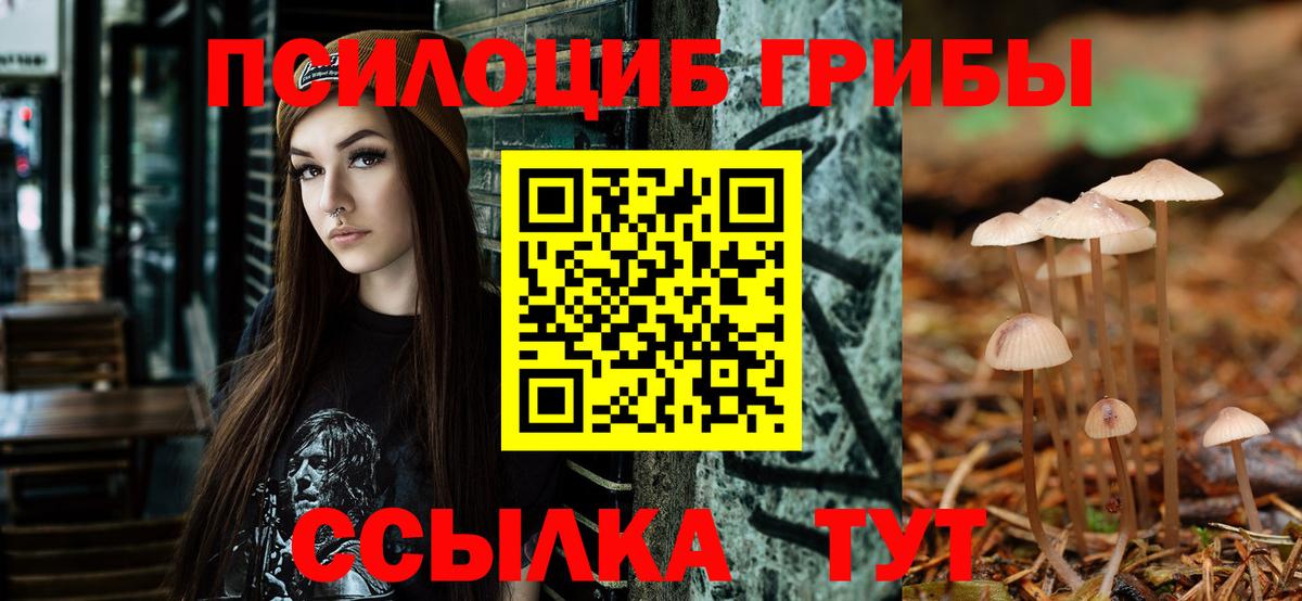 где продают   Галлюциногенные грибы ЛСД  Псилоцибиновые грибы Magic Shrooms  Вход с VPN  Севастополь 
