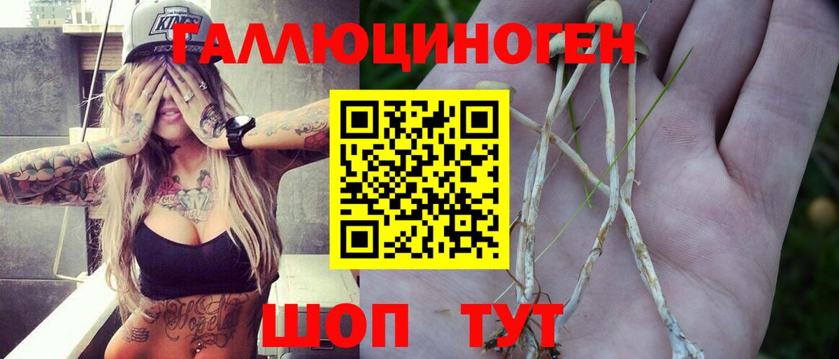 Псилоцибиновые грибы Cubensis  Севастополь  Галлюциногенные грибы Magic Shrooms 
