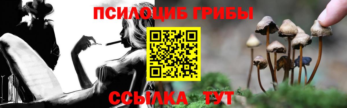 Псилоцибиновые грибы GOLDEN TEACHER Севастополь